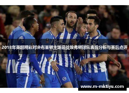 2018年英超精彩对决布莱顿主场迎战埃弗顿球队表现分析与赛后点评